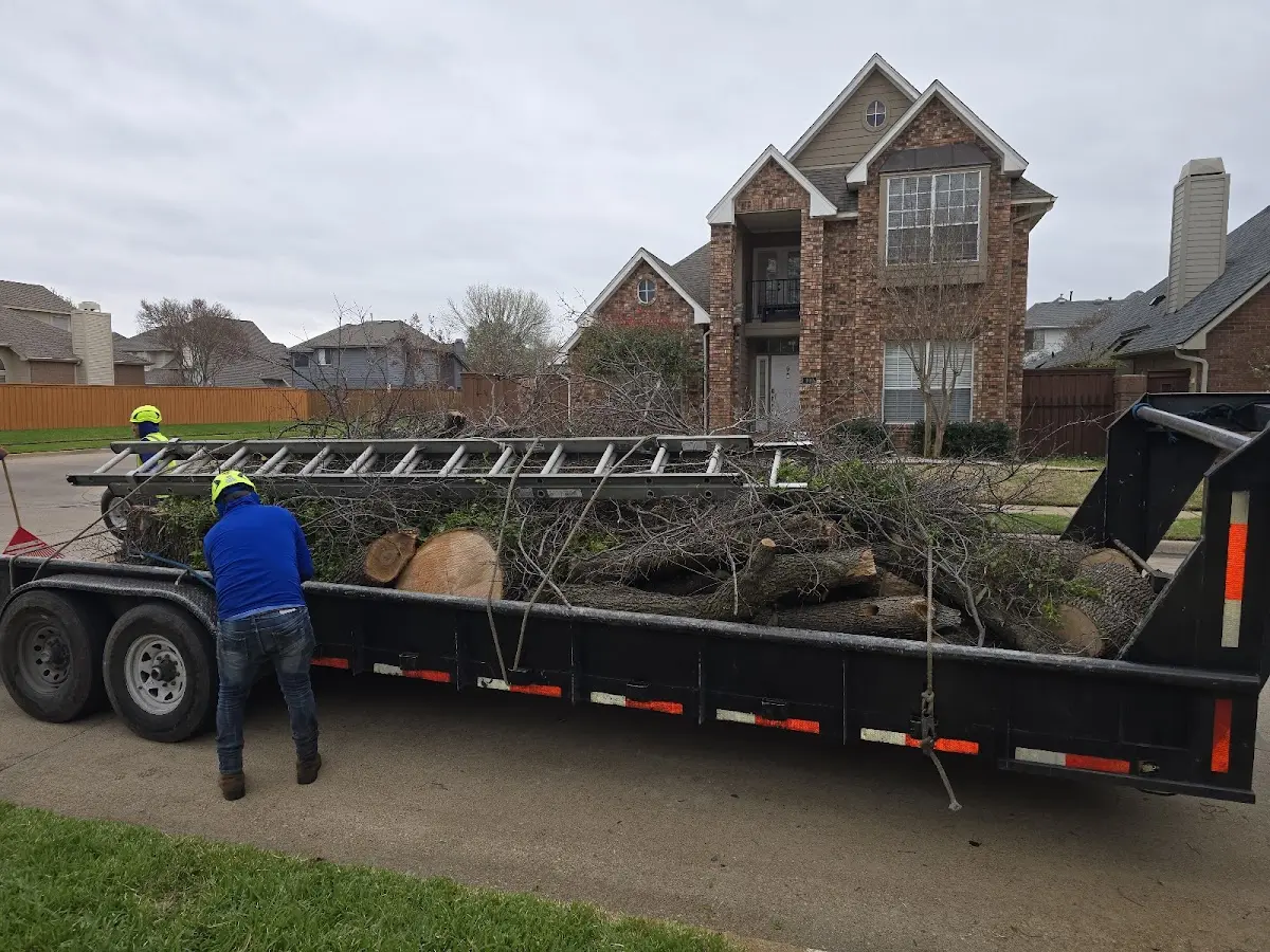 Expert Crown Reduction with proper safety equipment in Willowbrook
